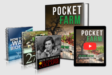 You are currently viewing Pocket Farm: The Smart, Easy Way to Food Independence