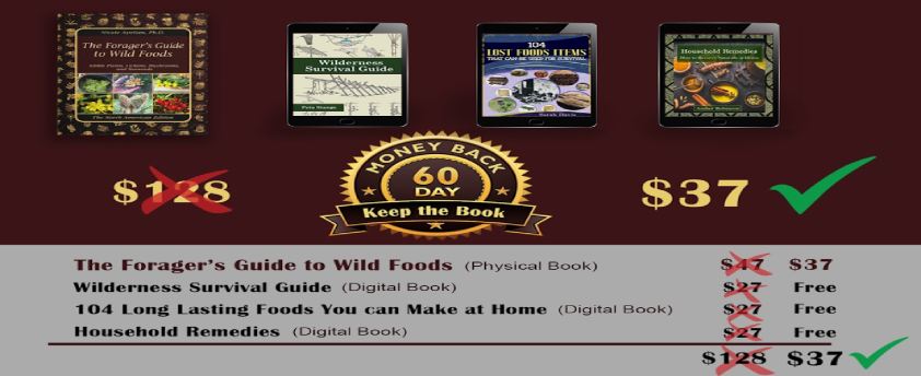 Forager's Guide to Wild Foods